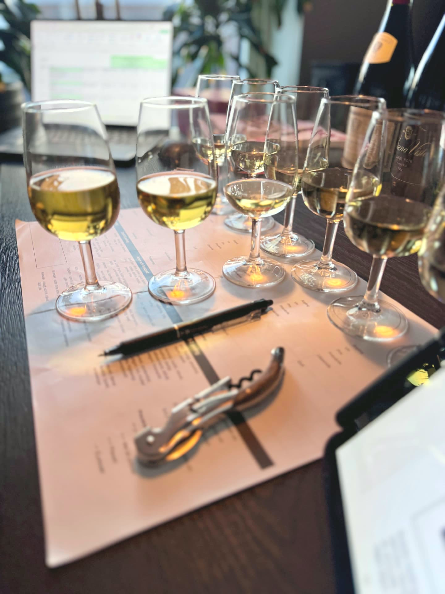 Provningsglas med vitt vin, provningsblad och korkskruv på ett bord